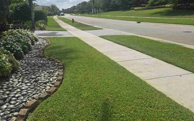 Photo of Thomas W.'s yard after getting lawn care in League City, TX