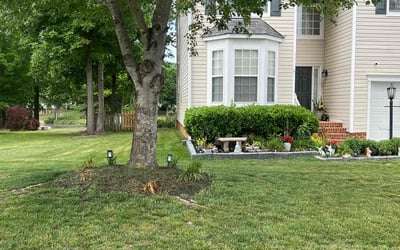 Photo of Jeannette L.'s yard after getting lawn care in Chester, VA