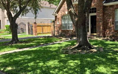 Photo of Anthony F.'s yard after getting lawn care in Houston, TX