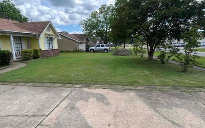 Photo of Allison G.'s yard after getting lawn care in Panama City, FL