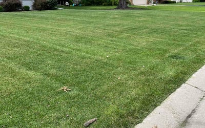 Photo of Scott K.'s yard after getting lawn care in Glendale, WI