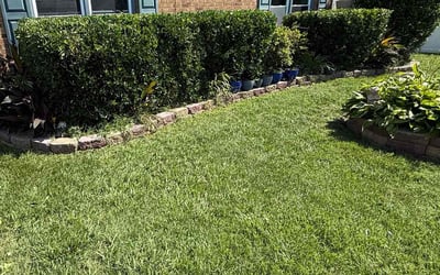 Photo of Christine K.'s yard after getting lawn care in Bronx, NY