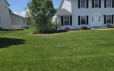 Photo of Alicia D.'s yard after getting lawn care in Camden, SC