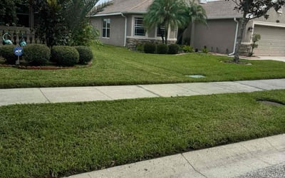 Photo of Carl S.'s yard after getting lawn care in Ocean Springs, MS