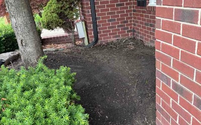 Photo of Chris E.'s yard after getting lawn care in Olympia, WA