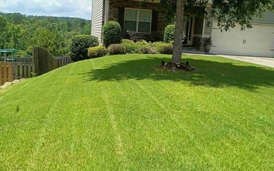 Photo of Sarah F.'s yard after getting lawn care in Hiram, GA
