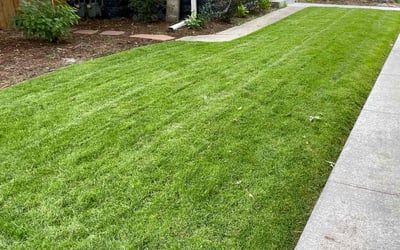 Photo of Timothy W.'s yard after getting lawn care in Cedar Falls, IA