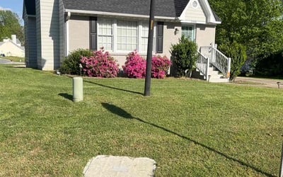 Photo of Vanessa S.'s yard after getting lawn care in Raleigh, NC
