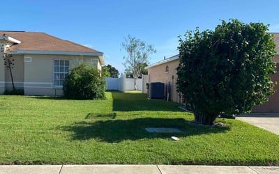 Photo of Lizzy N.'s yard after getting lawn care in Manteca, CA