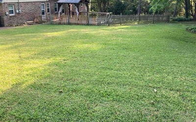 Photo of Sara A.'s yard after getting lawn care in Hartselle, AL