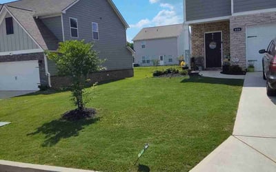 Photo of John Y.'s yard after getting lawn care in Locust Grove, GA