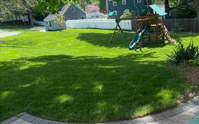 Photo of Michael W.'s yard after getting lawn care in Natick, MA