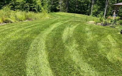Photo of Anita P.'s yard after getting lawn care in Fitchburg, MA
