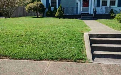 Photo of Andrea A.'s yard after getting lawn care in Knoxville, TN