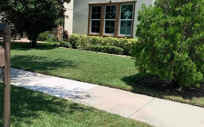 Photo of Eric C.'s yard after getting lawn care in Casa Grande, AZ