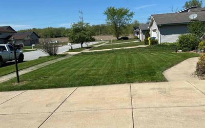 Photo of Anthony S.'s yard after getting lawn care in Griffith, IN