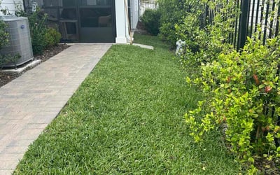Photo of Sonia D.'s yard after getting lawn care in Oakland Gardens, NY