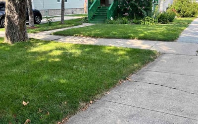 Photo of Kenneth J.'s yard after getting lawn care in Chicago Ridge, IL