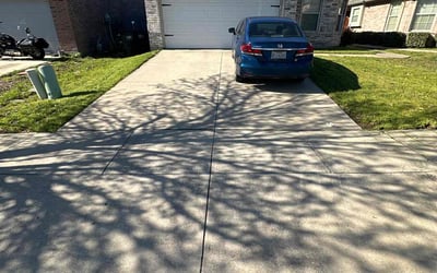 Photo of Steve C.'s yard after getting lawn care in Glenside, PA