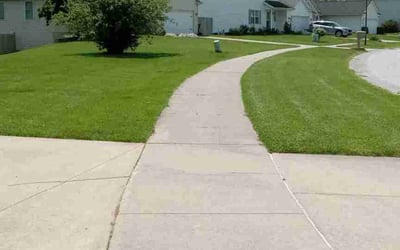 Photo of Susan B.'s yard after getting lawn care in Caledonia, MI
