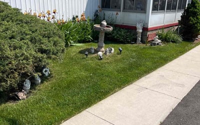 Photo of Amy R.'s yard after getting lawn care in Commerce Township, MI