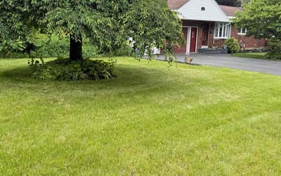 Photo of April O.'s yard after getting lawn care in Bloomfield, CT
