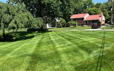 Photo of Kate C.'s yard after getting lawn care in McLean, VA