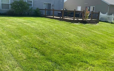 Photo of Jayson M.'s yard after getting lawn care in Mooresville, IN