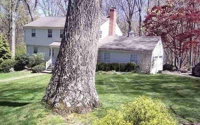 Photo of Chuck W.'s yard after getting lawn care in Fairfield, CT