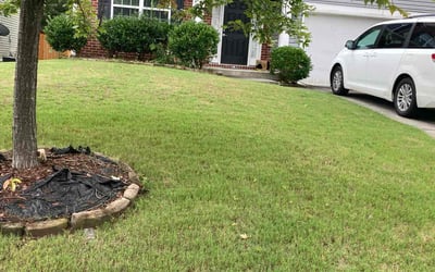 Photo of Farah R.'s yard after getting lawn care in Peachtree City, GA