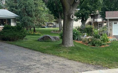 Photo of Jim W.'s yard after getting lawn care in Ashburn, VA
