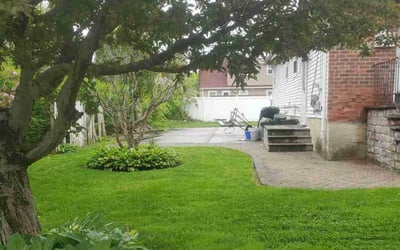 Photo of Sherry M.'s yard after getting lawn care in Uniondale, NY