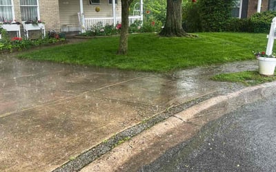 Photo of Cindi K.'s yard after getting lawn care in Seguin, TX