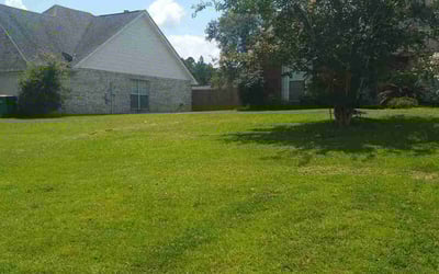 Photo of Scott P.'s yard after getting lawn care in Moss Point, MS