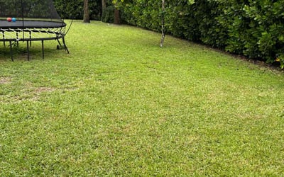 Photo of Kathy W.'s yard after getting lawn care in Davie, FL
