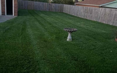 Photo of Tim L.'s yard after getting lawn care in Prospect, KY