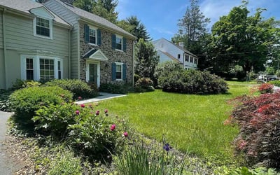 Photo of Chantal S.'s yard after getting lawn care in Elkins Park, PA