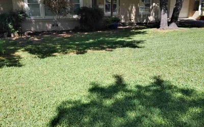 Photo of Robin G.'s yard after getting lawn care in Springtown, TX