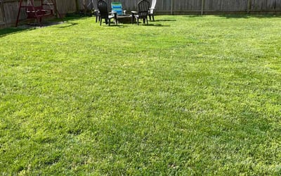 Photo of Sharon P.'s yard after getting lawn care in Damascus, MD