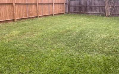 Photo of Monnie C.'s yard after getting lawn care in Stafford, TX