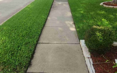 Photo of Ursula U.'s yard after getting lawn care in Pico Rivera, CA
