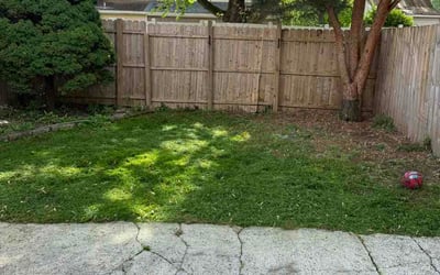 Photo of Joe E.'s yard after getting lawn care in Batavia, IL