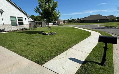 Photo of James B.'s yard after getting lawn care in Claremore, OK