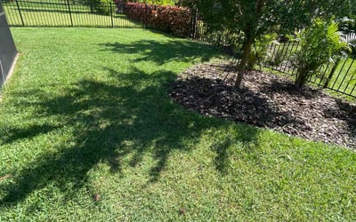 Photo of Beverly L.'s yard after getting lawn care in Apollo Beach, FL