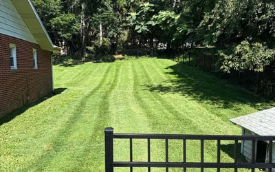 Photo of Kaye M.'s yard after getting lawn care in Southgate, MI