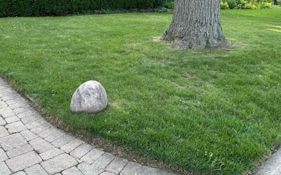 Photo of Paul H.'s yard after getting lawn care in Lake Forest, IL
