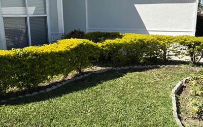 Photo of Megan A.'s yard after getting lawn care in Indianapolis, IN