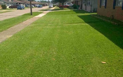 Photo of Juan G.'s yard after getting lawn care in Hattiesburg, MS