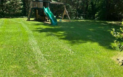 Photo of Margaret T.'s yard after getting lawn care in Oak Ridge, TN