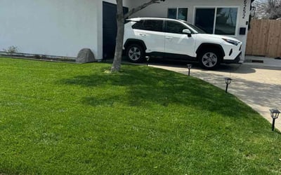 Photo of Parou B.'s yard after getting lawn care in Angleton, TX